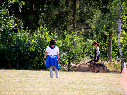Bayerische Meisterschaft im Turnierhundesport – Foto 32