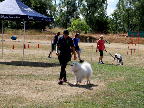 Bayerische Meisterschaft im Turnierhundesport – Foto 34
