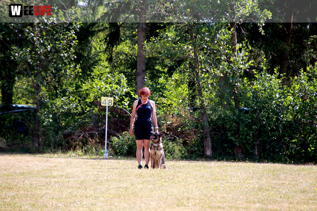 Bayerische Meisterschaft im Turnierhundesport