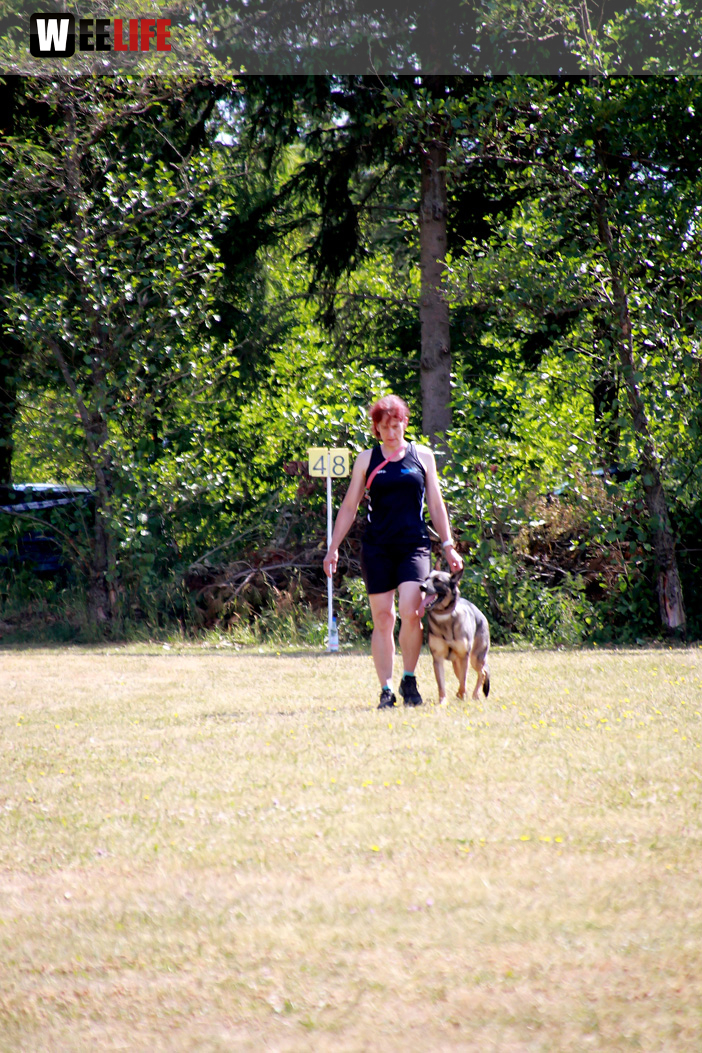 Bayerische Meisterschaft im Turnierhundesport