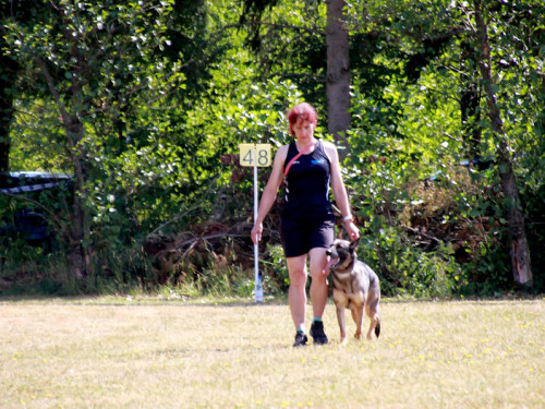 Bayerische Meisterschaft im Turnierhundesport – Foto 36