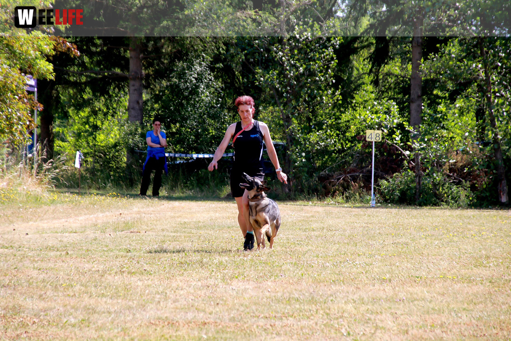 Bayerische Meisterschaft im Turnierhundesport