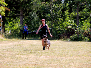 Foto 246600 im Album