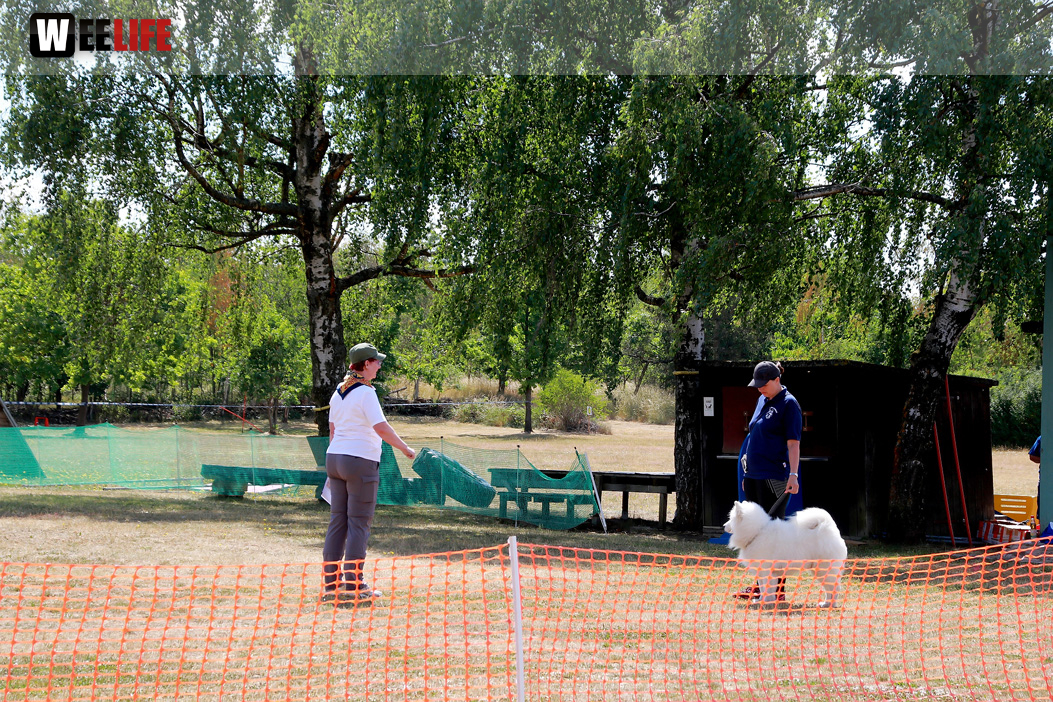 Bayerische Meisterschaft im Turnierhundesport