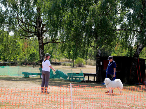 Bayerische Meisterschaft im Turnierhundesport – Foto 38