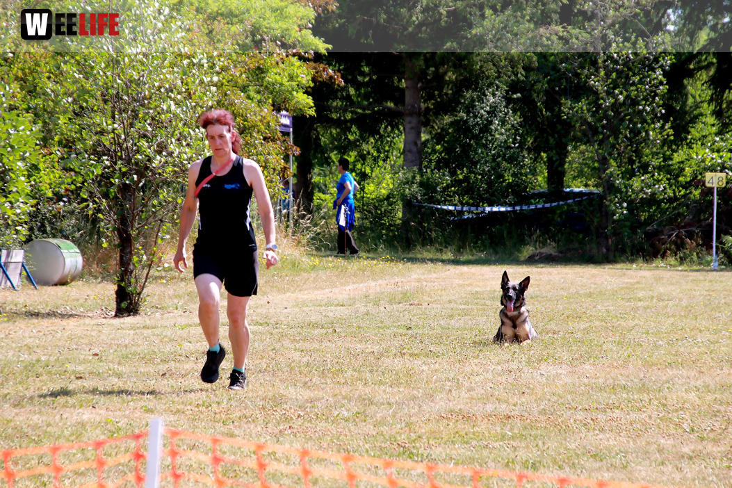 Bayerische Meisterschaft im Turnierhundesport