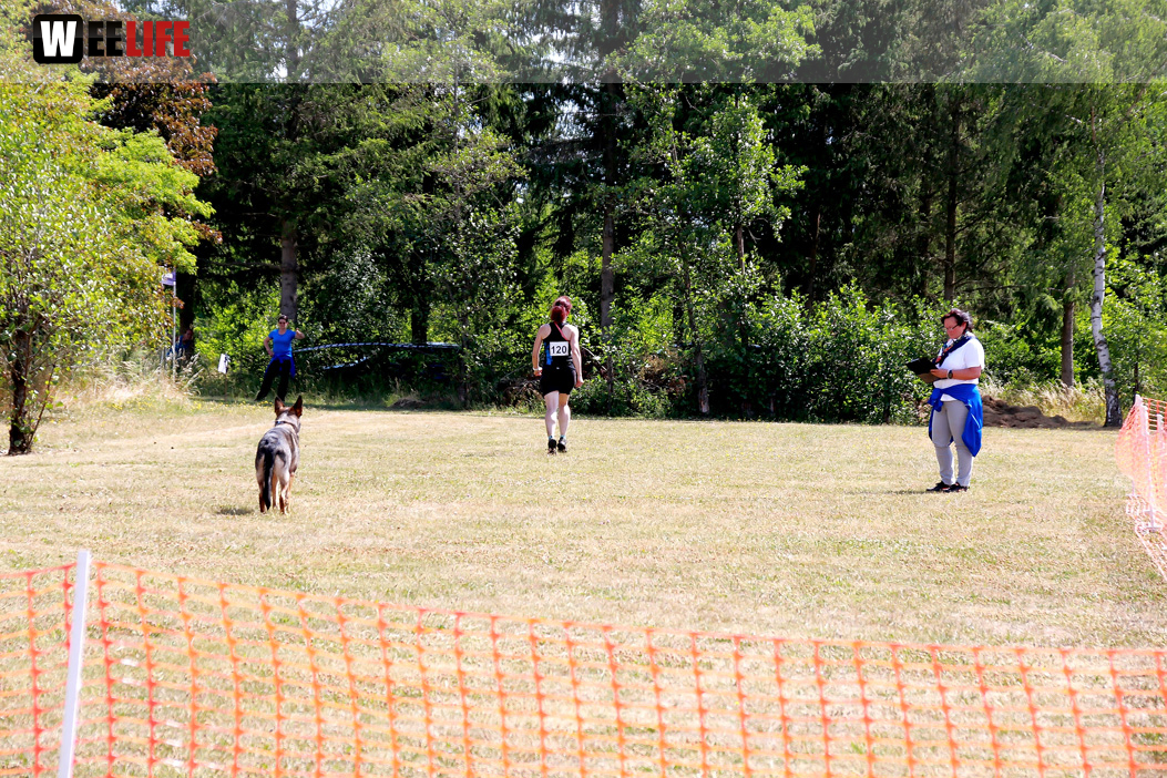 Bayerische Meisterschaft im Turnierhundesport