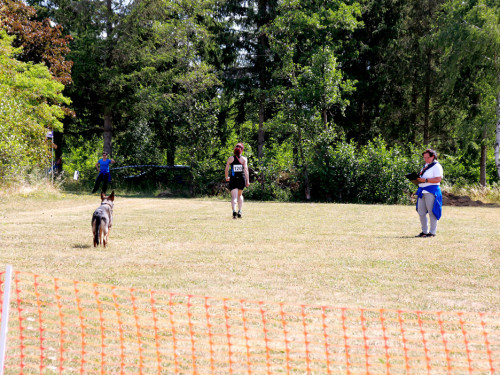 Bayerische Meisterschaft im Turnierhundesport – Foto 42