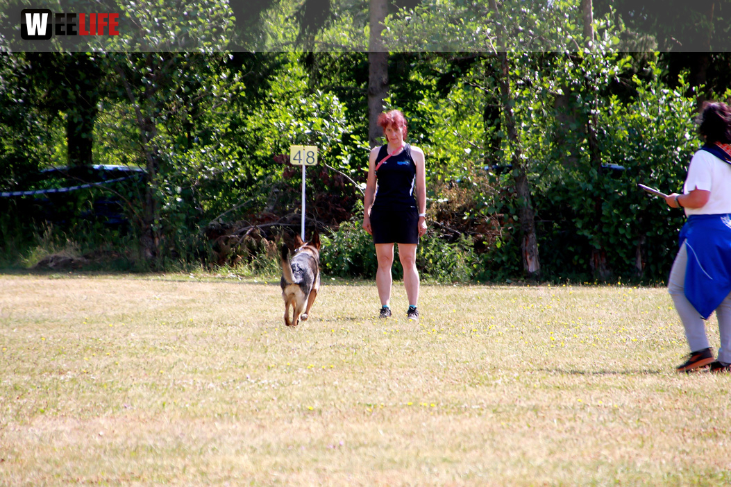 Bayerische Meisterschaft im Turnierhundesport