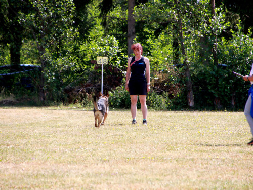 Bayerische Meisterschaft im Turnierhundesport – Foto 44