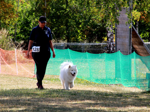 Bayerische Meisterschaft im Turnierhundesport – Foto 46