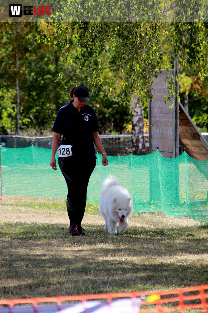Bayerische Meisterschaft im Turnierhundesport