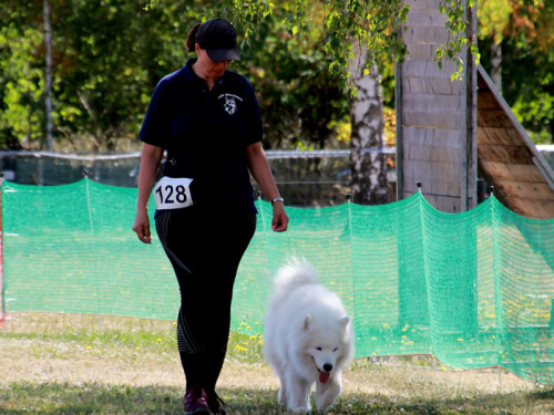 Bayerische Meisterschaft im Turnierhundesport – Foto 47
