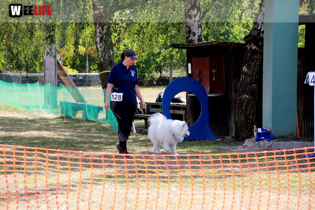 Bayerische Meisterschaft im Turnierhundesport