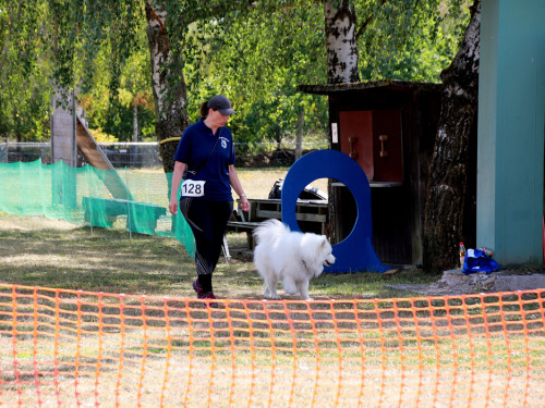 Bayerische Meisterschaft im Turnierhundesport – Foto 48