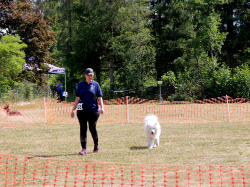 Bayerische Meisterschaft im Turnierhundesport – Foto 49