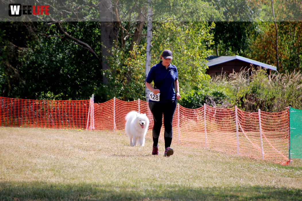 Bayerische Meisterschaft im Turnierhundesport