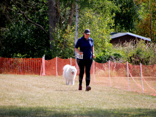 Bayerische Meisterschaft im Turnierhundesport – Foto 51