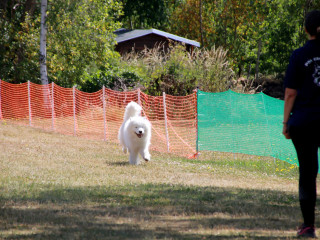 Foto 246616 im Album