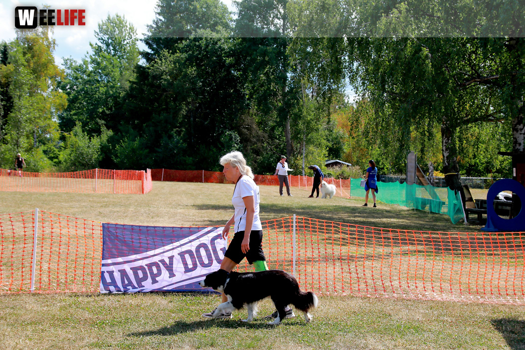 Bayerische Meisterschaft im Turnierhundesport