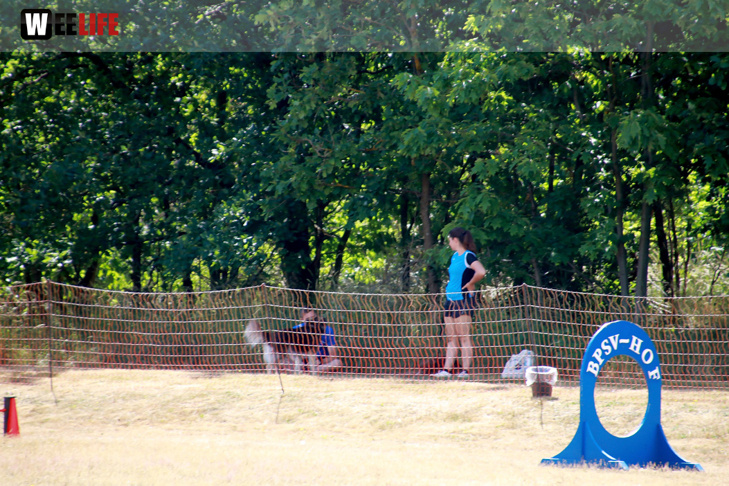Bayerische Meisterschaft im Turnierhundesport