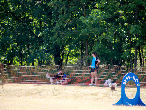 Bayerische Meisterschaft im Turnierhundesport – Foto 57