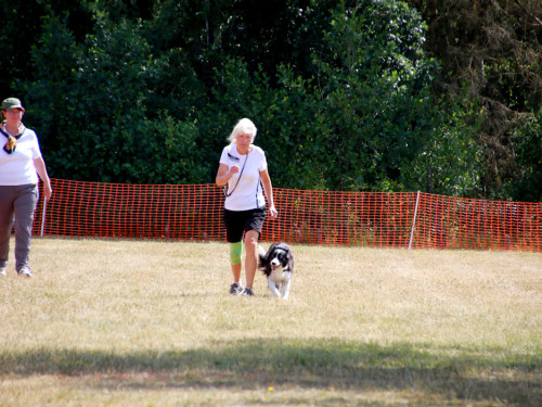 Bayerische Meisterschaft im Turnierhundesport – Foto 58