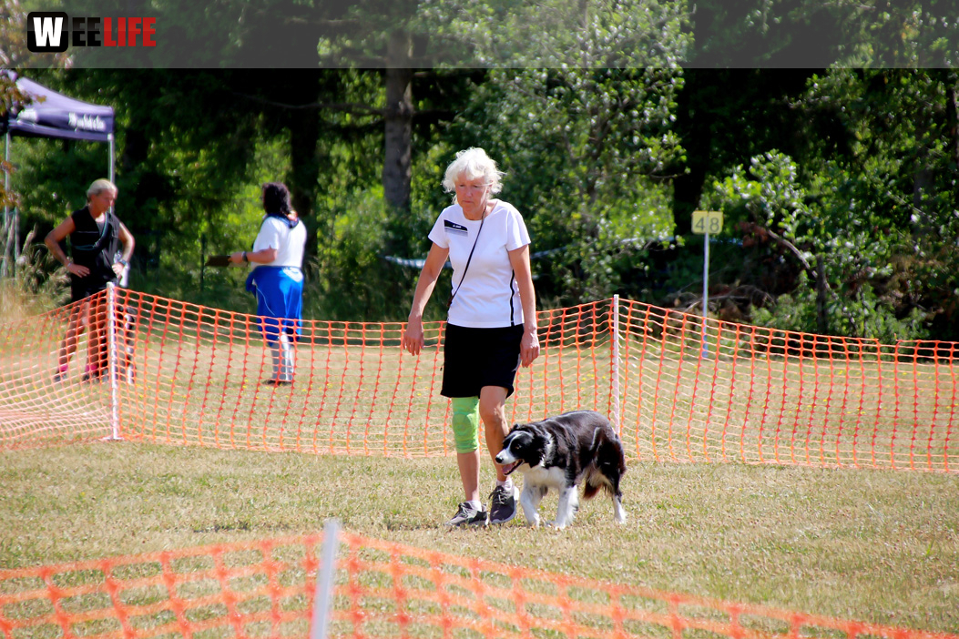 Bayerische Meisterschaft im Turnierhundesport
