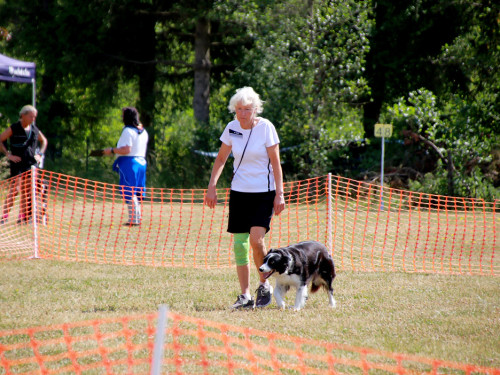 Bayerische Meisterschaft im Turnierhundesport – Foto 60