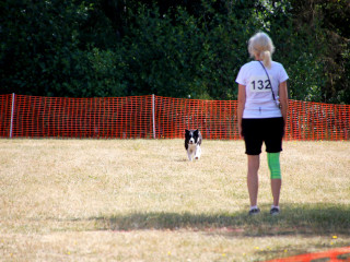 Foto 246624 im Album