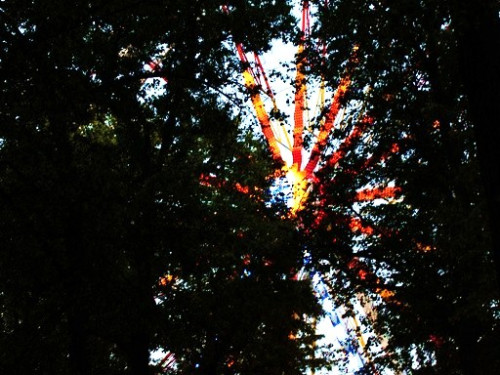 Selber Heimat- und Wiesenfest – Foto 48