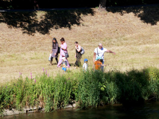 Foto 247285 im Album