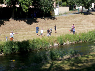 Foto 247286 im Album