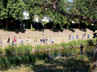 Foto 247291 im Album