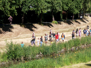 Foto 247292 im Album