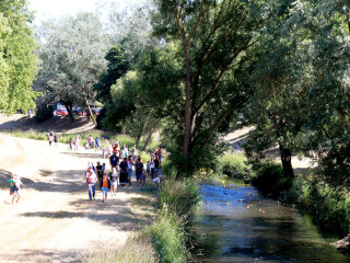 Foto 247299 im Album