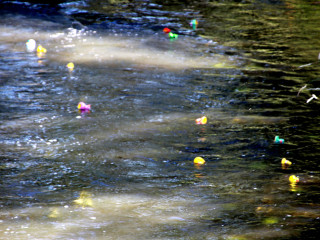 Foto 247300 im Album