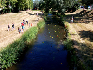 Foto 247311 im Album