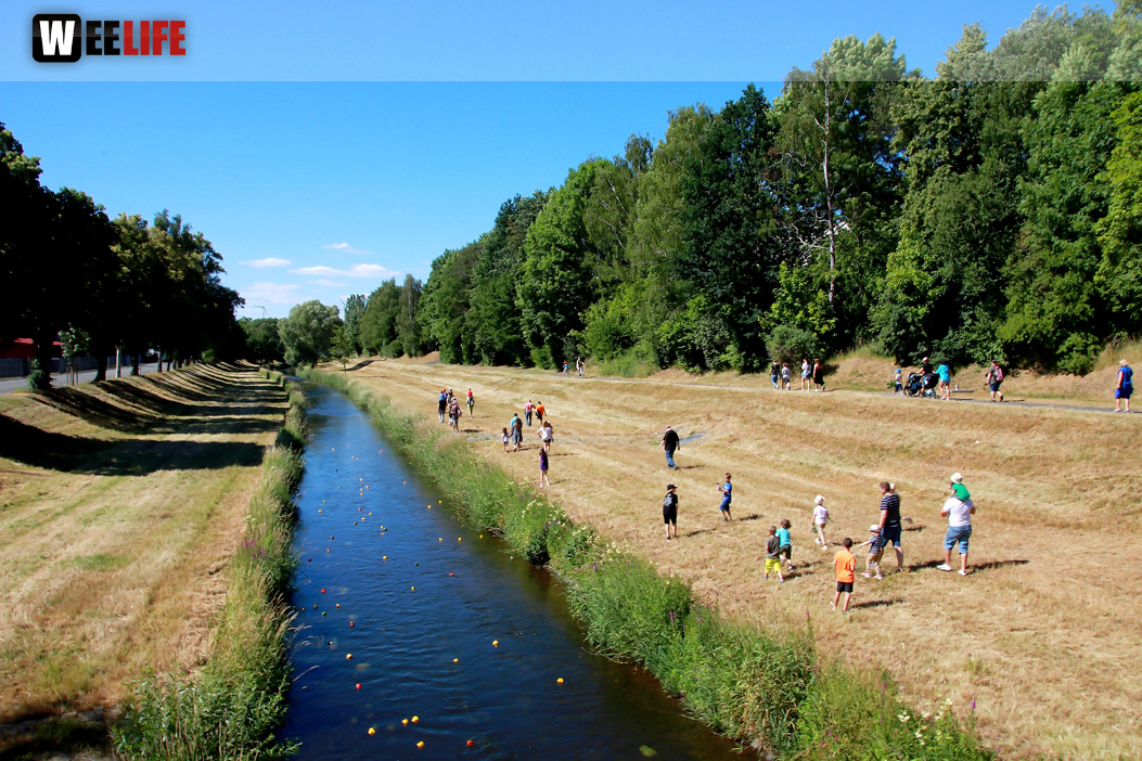 Entenrennnen 2022 Müterclub Hof