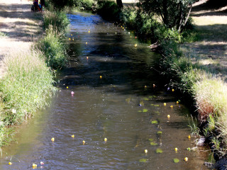 Foto 247322 im Album