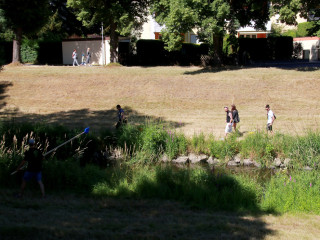 Foto 247328 im Album