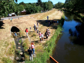 Foto 247336 im Album