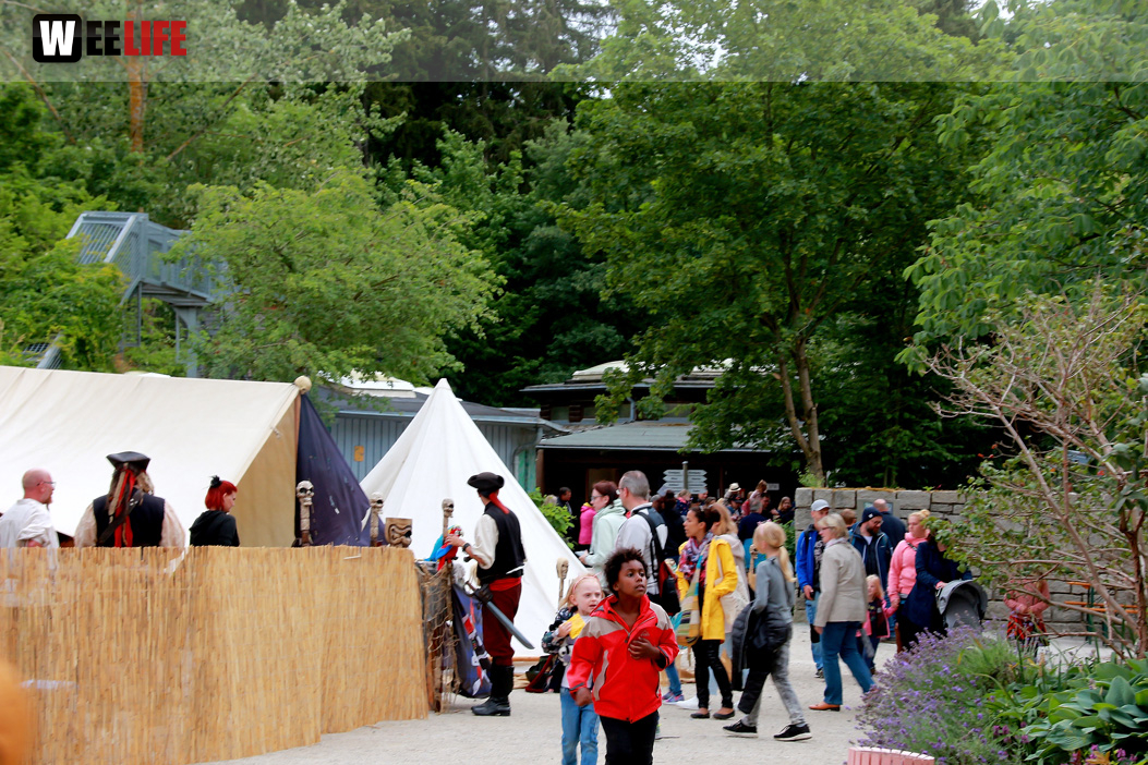 Großes Piraten-Sommerfest 2022