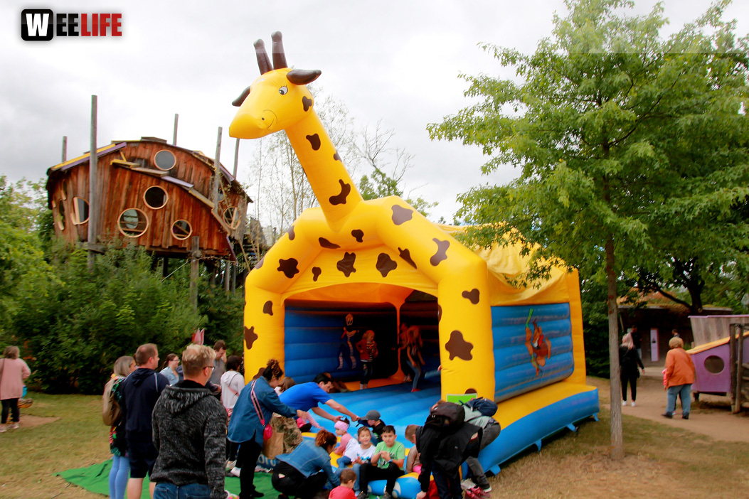 Großes Piraten-Sommerfest 2022
