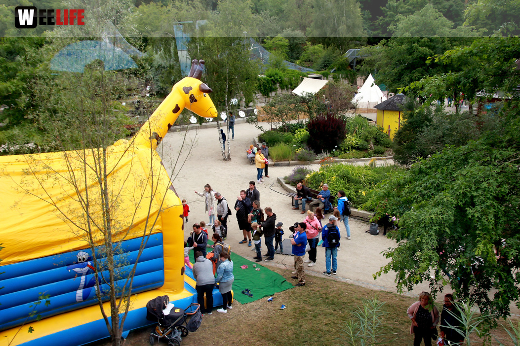 Großes Piraten-Sommerfest 2022
