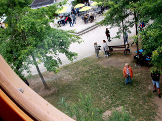Foto 248225 im Album