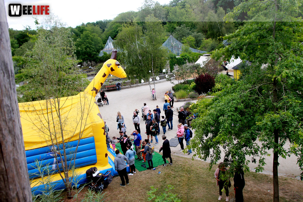 Großes Piraten-Sommerfest 2022