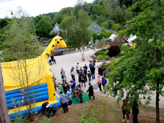 Foto 248226 im Album