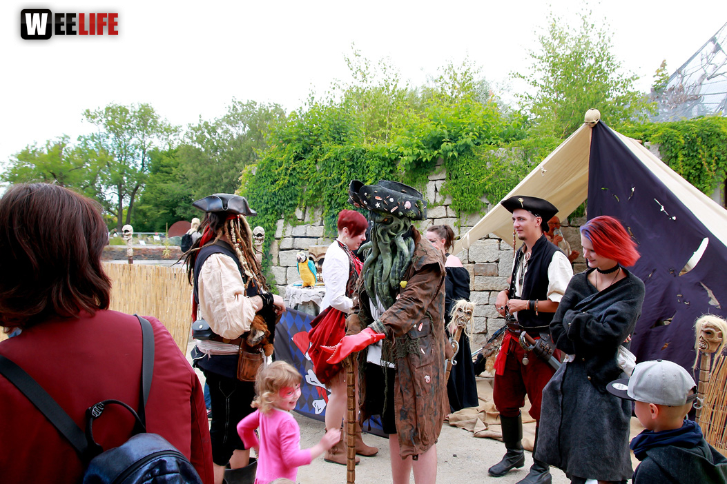 Großes Piraten-Sommerfest 2022
