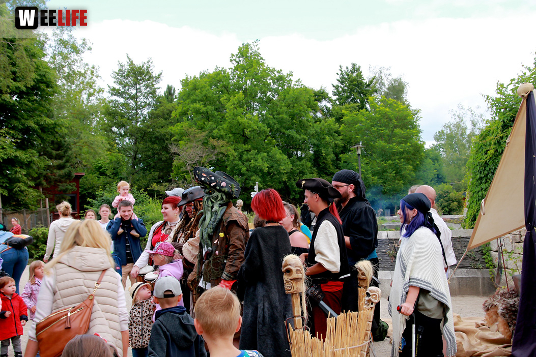 Großes Piraten-Sommerfest 2022